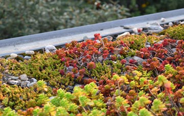 the cost of Quoyness green roof installation