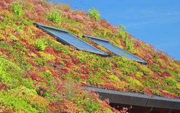 Quoyness living roof systems