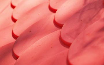 Quoyness plastic roof costs