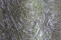 Quoyness fibreglass roof work